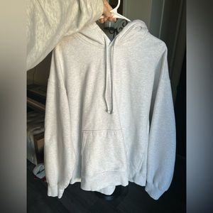 ARITZIA oversized hoodie